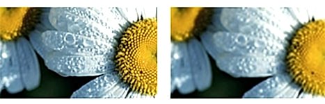 Гид по работе с типографиями